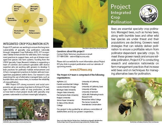 PDF cover of Project Integrated Crop Pollination